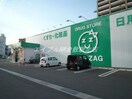 ザグザグ平田店(ドラッグストア)まで179m スナダハイツ