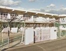 浅口市立金光小学校(小学校)まで398m ゼフィランサス