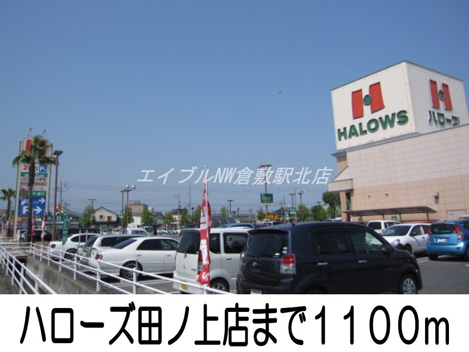 ハローズ田ノ上店(スーパー)まで1100m ニューシティ山崎
