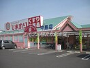 スーパードラッグひまわり中島店(ドラッグストア)まで731m コーポ藤田