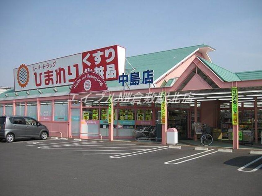 スーパードラッグひまわり中島店(ドラッグストア)まで731m コーポ藤田