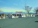 山陽マルナカ老松店(スーパー)まで520m フジノマンション