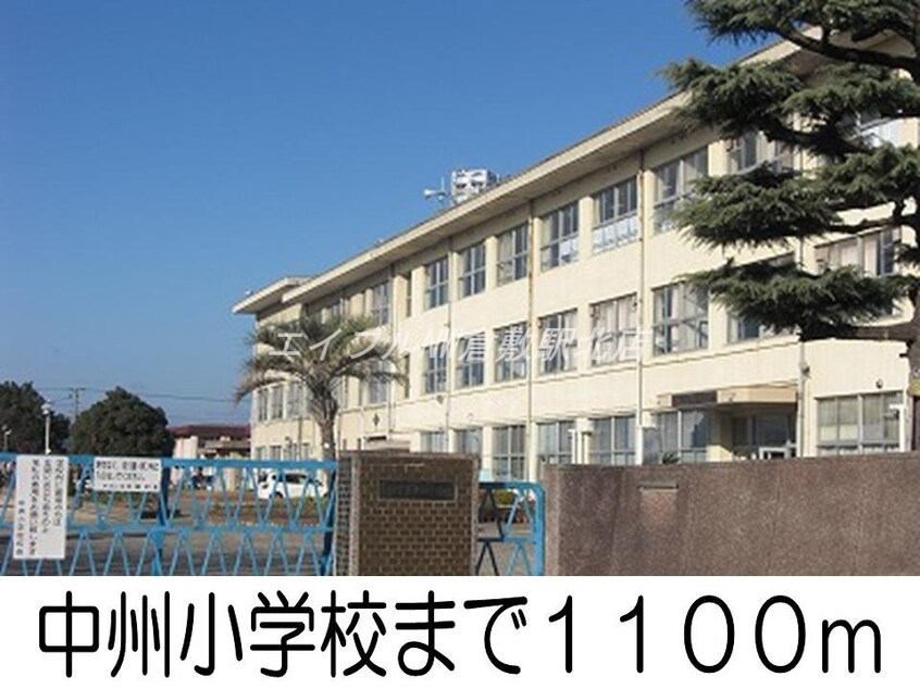 中州小学校(小学校)まで1100m セイバリーＫ