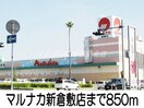 マルナカ新倉敷店(スーパー)まで850m ベル・プリムローズＢ