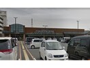 マルヨシセンター余戸店(スーパー)まで308m マラマ