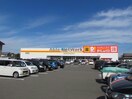 DiREX伊予店(ディスカウントショップ)まで1167m グリーンパーク佐伯