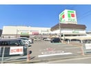 ダイソーフジ伊予店(ディスカウントショップ)まで686m ファインディアハイツ