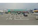ディスカウントドラッグコスモス伊予店(ドラッグストア)まで429m grove place B