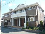 リラ ベアー