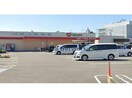 くすりのレデイフジ伊予店(ドラッグストア)まで852m マリベールスタービレ