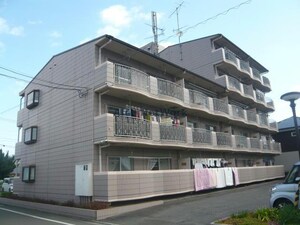 シャルマン市坪
