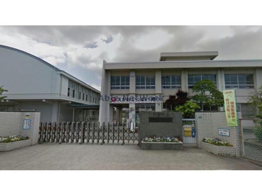 松山市立椿小学校(小学校)まで535m コージィコートHAYASHI