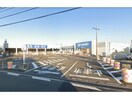 DCM余戸店(電気量販店/ホームセンター)まで156m SKYハイツ宮田