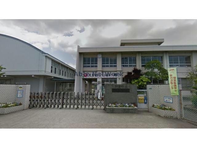 松山市立椿小学校(小学校)まで851m エッフェルハイツ