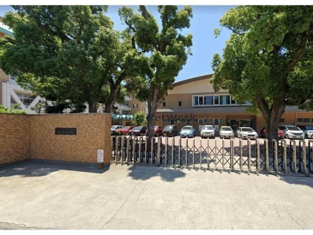 松前町立松前小学校(小学校)まで1111m ポプラ