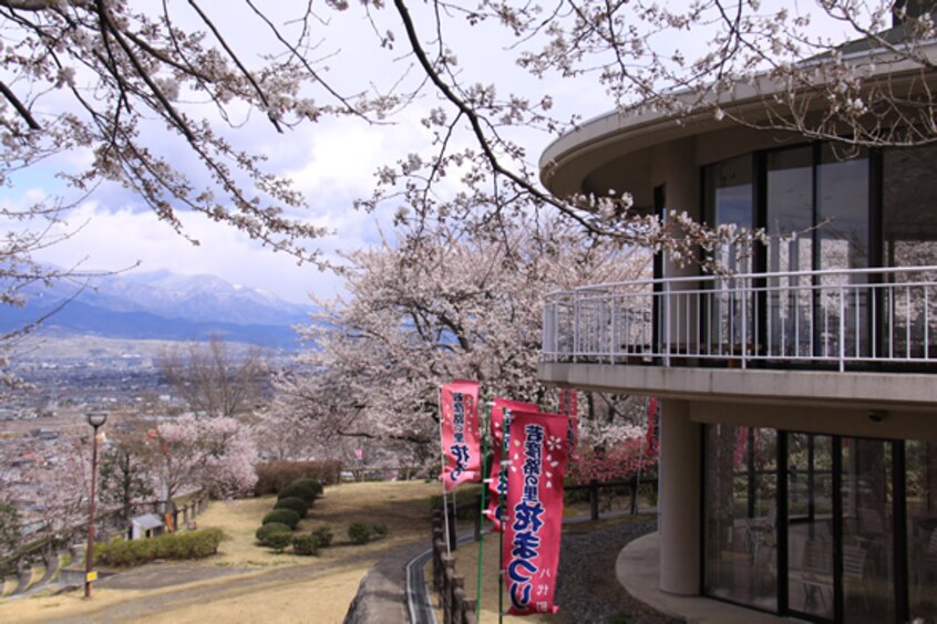 八代ふるさと公園(公園)まで2491m ヴィラ根岸　B