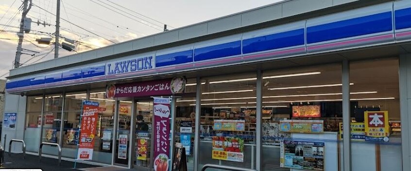 ﾛｰｿﾝ 甲府和戸藤塚店(コンビニ)まで541m シングルコーポ岩下