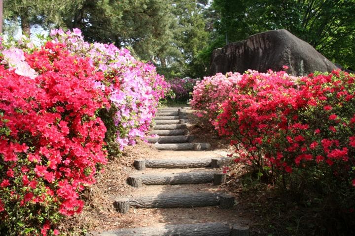 石森山つつじ公園(公園)まで366m ハイツタケイ