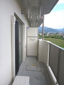  Y＆Mグランディール・マリン