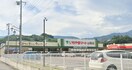 いちやまﾏｰﾄ 山梨店(スーパー)まで1017m ハイカムールT・B