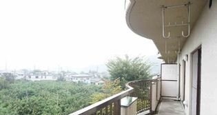  ベラヴィータ花櫻