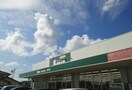 セリア和戸店まで600m マンション加賀美