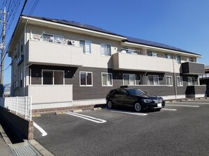 プリムローズ