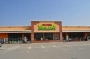 ｾﾙﾊﾞ 御坂店(スーパー)まで2321m リバーサイドヒル　Ｂ