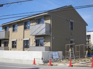 オリーブ　A