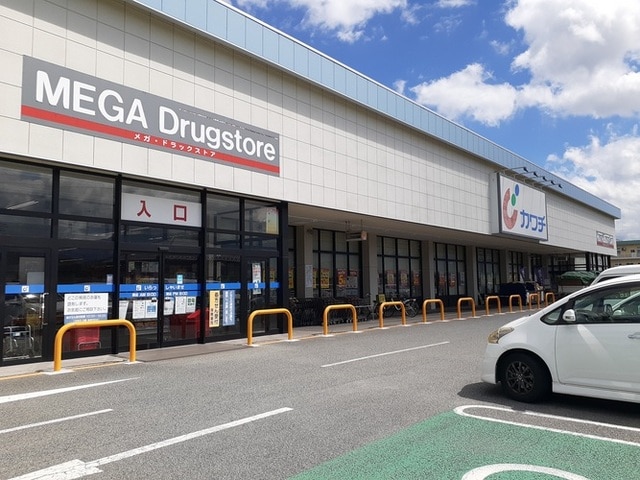 カワチ薬品小瀬店まで1500m ワンズ　ホーム　ヴィレッジ　II