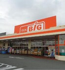 ｻﾞ･ﾋﾞｯｸﾞ 石和店(スーパー)まで1588m グリーンビレッジＡ