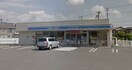 ﾛｰｿﾝ 笛吹石和河内店(コンビニ)まで191m マーベラス　ガーデンＣ