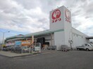 コメリ御坂店まで800m ベルソレイユ