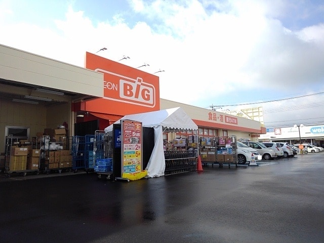 ザ・ビッグ笛吹井戸店まで1500m カーサ　フェリオ　Ｂ