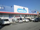 ウエルシア石和市部店まで550m グランデ・ソレイユI