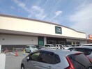 アマノパークス甲府東店まで900m グレイス横根
