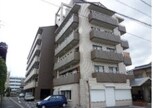 cotone JYOHOKU