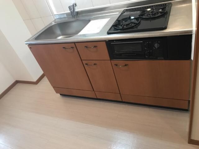 キッチン プラムガーデン Sin