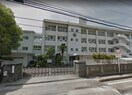 松山市立雄新中学校(中学校/中等教育学校)まで1178m パレ・グラン室町