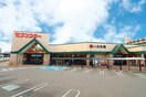セブンスター東長戸店 678m フェリシードひめばら　A棟