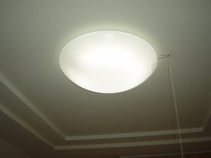 照明 プラムガーデンYouki