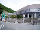 松山市立姫山小学校(小学校)まで792m アルフラットひめばらA・B