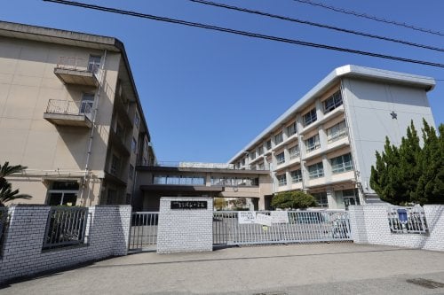 松山市立たちばな小学校(小学校)まで1495m セジュール永木　Ａ・Ｂ・Ｃ・Ｄ棟