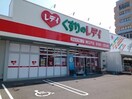 レディ薬局まで500m コーポ丹下