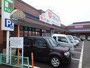 くすりのレデイ和気店様まで300m トリアングルム