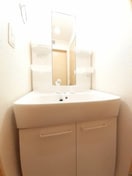 スペースが確保できる洗面所です パークサイド椿