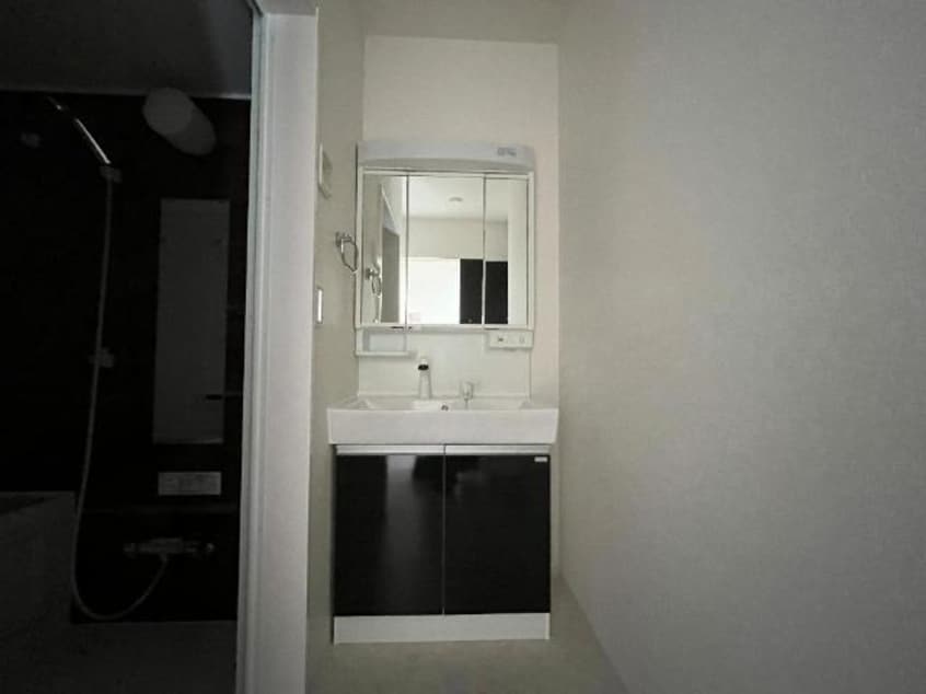 洗髪洗面化粧台（イメージ） シャイン・ウェスト