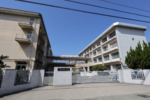 松山市立たちばな小学校(小学校)まで1931m セジュール・ウメキⅢ