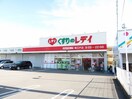 くすりのレデイ南江戸店様まで800m レモンハウス