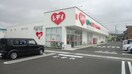 くすりのレデイ 余戸店(ドラッグストア)まで1145m カーサ余戸南